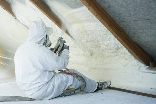 Best Attic Insulation Installation in Deer Park, OH